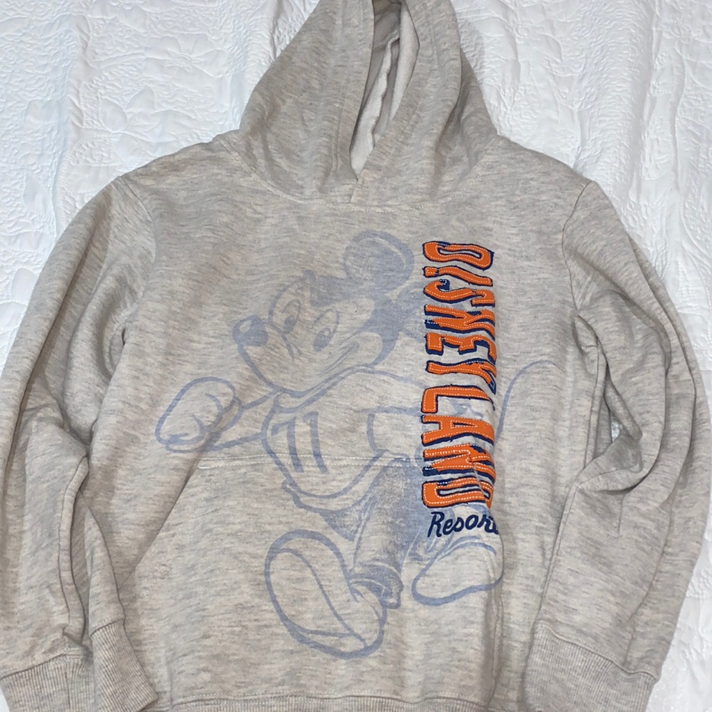 Authentic Disneyland Hoodie Vintage